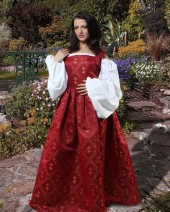 Princess Of Castle Gown